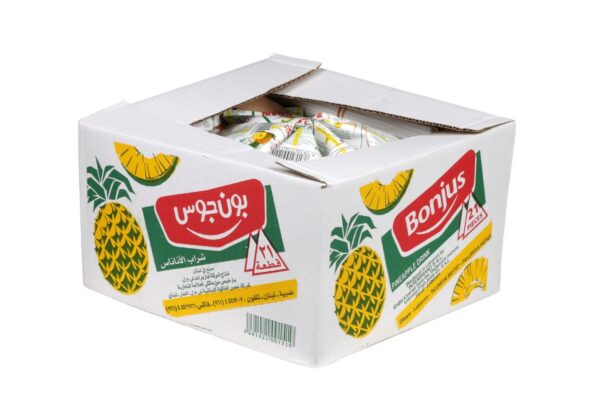Bonjus Pineapple Juice Drink (180 Ml )